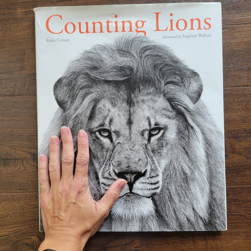 Counting Lions - Picture 3 of 5